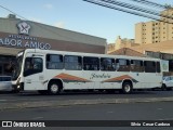 Jandaia Transportes e Turismo 2420 na cidade de Presidente Prudente, São Paulo, Brasil, por Silvio  Cesar Cardoso. Número da foto: #12261512.