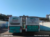 Santa Fé Transportes 174 na cidade de Belo Horizonte, Minas Gerais, Brasil, por Hugo Henrique de Figueiredo. Número da foto: #12259731.