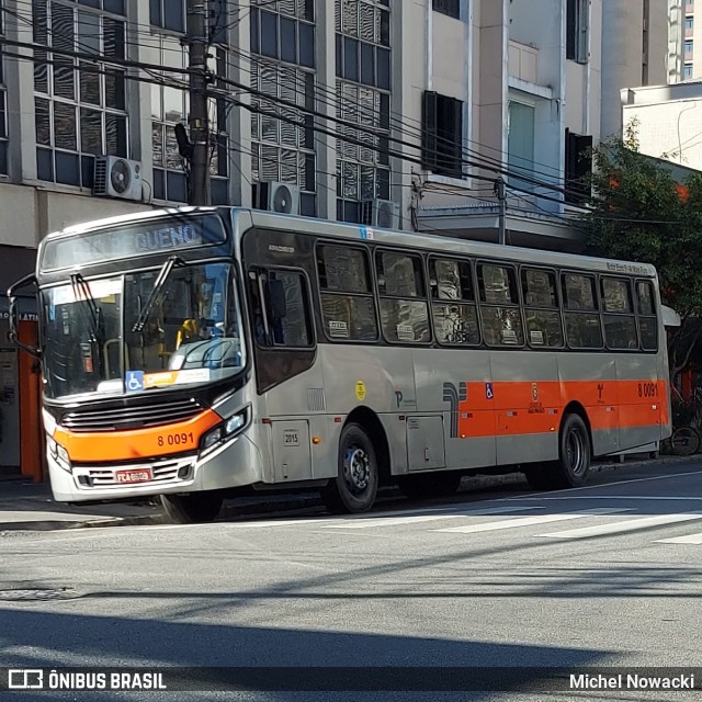 TRANSPPASS - Transporte de Passageiros 8 0091 na cidade de São Paulo, São Paulo, Brasil, por Michel Nowacki. Número da foto: #12217878.