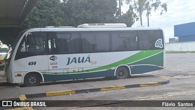 Viação Jauá 650 na cidade de Cruz das Almas, Bahia, Brasil, por Flávio  Santos. Número da foto: #12216105.