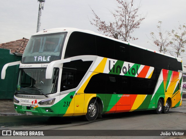 Buses Linatal 231 na cidade de Santiago, Santiago, Metropolitana de Santiago, Chile, por João Victor. Número da foto: #12217982.