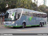 Pássaro Verde 24186 na cidade de Viçosa, Minas Gerais, Brasil, por Christian  Fortunato. Número da foto: #:id.