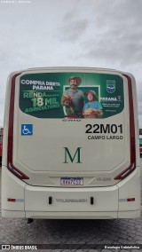Empresa de Ônibus Campo Largo 22M01 na cidade de Curitiba, Paraná, Brasil, por Busologia Gabrielística. Número da foto: #12217843.