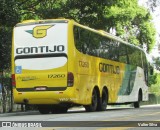 Empresa Gontijo de Transportes 17260 na cidade de São Paulo, São Paulo, Brasil, por Valter Silva. Número da foto: #12216268.