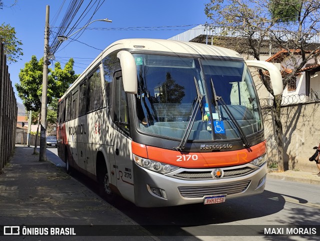 Rouxinol 2170 na cidade de Belo Horizonte, Minas Gerais, Brasil, por MAXI MORAIS. Número da foto: #12263606.