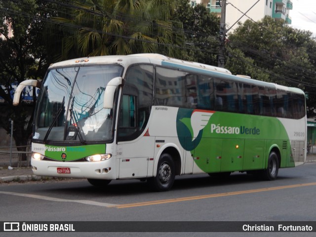 Pássaro Verde 29020 na cidade de Viçosa, Minas Gerais, Brasil, por Christian  Fortunato. Número da foto: #12261967.