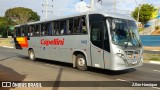 Transportes Capellini 34022 na cidade de Paulínia, São Paulo, Brasil, por Allan Henrique. Número da foto: #12262905.