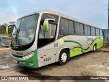 Turin Transportes 1455 na cidade de Conselheiro Lafaiete, Minas Gerais, Brasil, por Eduardo Vieira. Número da foto: #12263361.