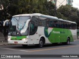Pássaro Verde 29020 na cidade de Viçosa, Minas Gerais, Brasil, por Christian  Fortunato. Número da foto: #12261967.
