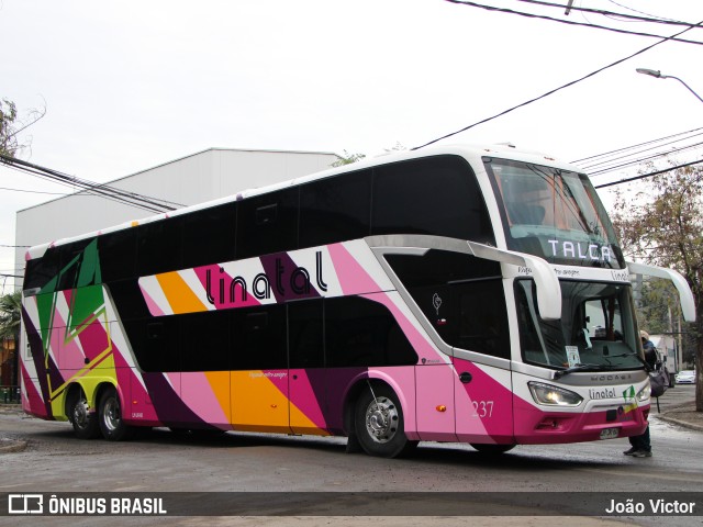 Buses Linatal 237 na cidade de Santiago, Santiago, Metropolitana de Santiago, Chile, por João Victor. Número da foto: #12266441.