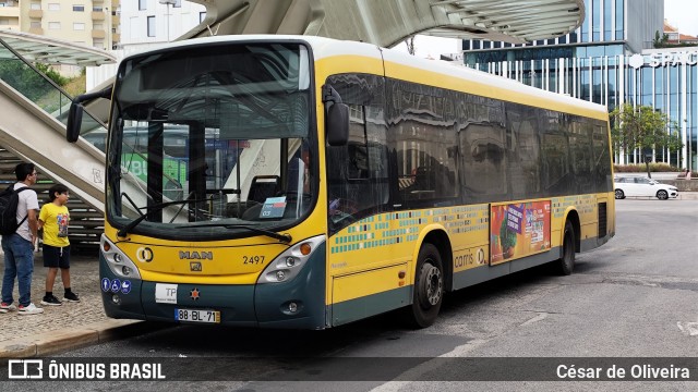 Companhia Carris de Ferro de Lisboa 2497 na cidade de Lisbon, Lisbon, Portugal, por César de Oliveira. Número da foto: #12265356.