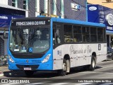 Princesinha do Vale 222332 na cidade de Resende, Rio de Janeiro, Brasil, por Luiz Eduardo Lopes da Silva. Número da foto: #12264593.