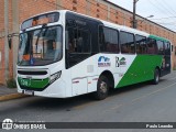 Bamonte Transportes 3 249 na cidade de Barra do Piraí, Rio de Janeiro, Brasil, por Paulo Leandro. Número da foto: #12264626.