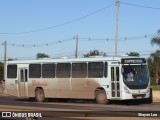 TM - Transversal Metropolitana 2624 na cidade de Canoas, Rio Grande do Sul, Brasil, por Shayan Lee. Número da foto: #12265719.