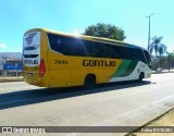 Empresa Gontijo de Transportes 7145 na cidade de Ipatinga, Minas Gerais, Brasil, por Celso ROTA381. Número da foto: #12268523.