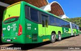 Metrobus 1201 na cidade de Goiânia, Goiás, Brasil, por Carlos Júnior. Número da foto: #12267485.