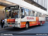 Expresso Rio Guaíba 130 na cidade de Porto Alegre, Rio Grande do Sul, Brasil, por Helio Santos de Freitas. Número da foto: #:id.