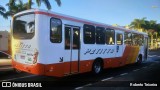 Transportadora Turística Petitto 92660 na cidade de Ribeirão Preto, São Paulo, Brasil, por Roberto Teixeira. Número da foto: #12268542.
