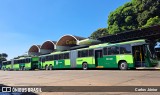 Metrobus 1201 na cidade de Goiânia, Goiás, Brasil, por Carlos Júnior. Número da foto: #12268111.
