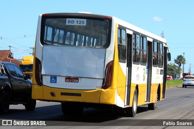 Belém Rio Transportes BD-125 na cidade de Benevides, Pará, Brasil, por Fabio Soares. Número da foto: #12270988.