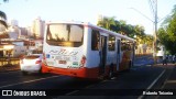 Transportadora Turística Petitto 92490 na cidade de Ribeirão Preto, São Paulo, Brasil, por Roberto Teixeira. Número da foto: #12271473.