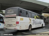 Peixoto Turismo 2121 na cidade de Belo Horizonte, Minas Gerais, Brasil, por Douglas Célio Brandao. Número da foto: #12273987.