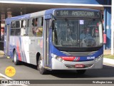 Transportes Capellini 32.046 na cidade de Americana, São Paulo, Brasil, por Wellington Lima. Número da foto: #12273108.