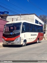Rouxinol 2313 na cidade de Vespasiano, Minas Gerais, Brasil, por Bruno Guimarães. Número da foto: #12273329.