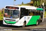 Bamonte Transportes 3 242 na cidade de Barra do Piraí, Rio de Janeiro, Brasil, por Paulo Henrique Pereira Borges. Número da foto: #12277110.
