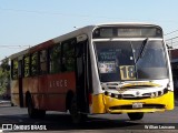 Lince 13 na cidade de Asunción, Paraguai, por Willian Lezcano. Número da foto: #12275689.