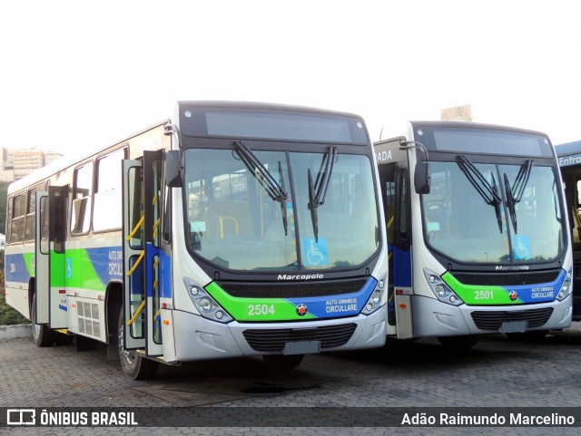 Auto Omnibus Circullare Bom Despacho 2504 na cidade de Belo Horizonte, Minas Gerais, Brasil, por Adão Raimundo Marcelino. Número da foto: #12279500.