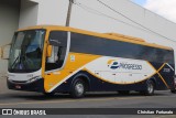 Viação Progresso 31306 na cidade de Juiz de Fora, Minas Gerais, Brasil, por Christian  Fortunato. Número da foto: #12277769.