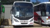 Escolares 1638 na cidade de Belo Horizonte, Minas Gerais, Brasil, por Antonio Silva. Número da foto: #12278003.