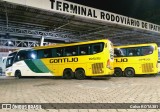 Empresa Gontijo de Transportes 19585 na cidade de Ipatinga, Minas Gerais, Brasil, por Celso ROTA381. Número da foto: #12281239.