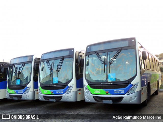 Auto Omnibus Circullare Bom Despacho 2502 na cidade de Belo Horizonte, Minas Gerais, Brasil, por Adão Raimundo Marcelino. Número da foto: #12285040.