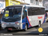 Transporte Padovani 694 na cidade de Sumaré, São Paulo, Brasil, por Wellington Lima. Número da foto: #12282741.