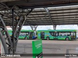 Prefeitura Municipal de Belém  na cidade de Belém, Pará, Brasil, por Erwin Di Tarso. Número da foto: #12282899.