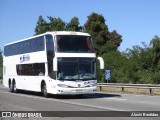 Pullman Setter  na cidade de Chimbarongo, Colchagua, Libertador General Bernardo O'Higgins, Chile, por Alexis Bastidas. Número da foto: #12284500.
