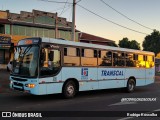Transcal Sul Transportes Coletivos 24112 na cidade de Gravataí, Rio Grande do Sul, Brasil, por Rodrigo Koscolka. Número da foto: #12284091.
