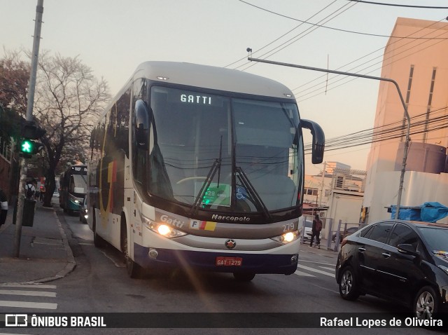 Gatti 279 na cidade de Osasco, São Paulo, Brasil, por Rafael Lopes de Oliveira. Número da foto: #12286608.