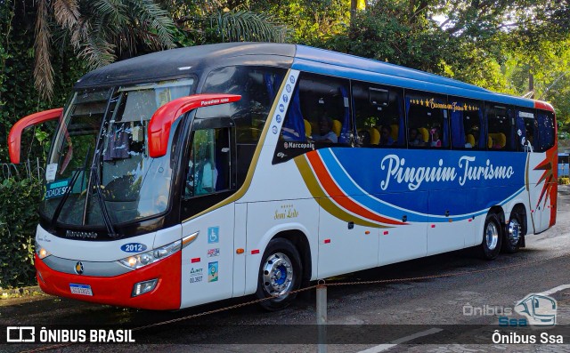 Pinguim Turismo 2012 na cidade de Salvador, Bahia, Brasil, por Ônibus Ssa. Número da foto: #12218308.