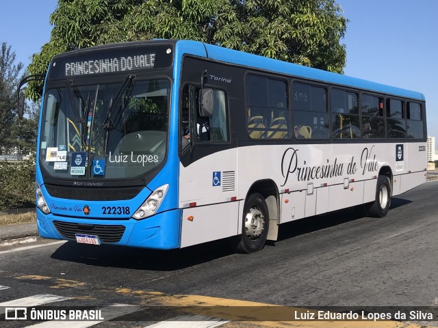 Princesinha do Vale 222318 na cidade de Resende, Rio de Janeiro, Brasil, por Luiz Eduardo Lopes da Silva. Número da foto: #12220117.