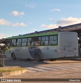 TransPessoal Transportes 724 na cidade de Rio Grande, Rio Grande do Sul, Brasil, por Ribeiro Reis. Número da foto: #12220885.
