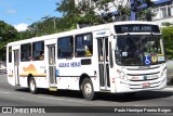 Viação Agulhas Negras RJ 169.029 na cidade de Volta Redonda, Rio de Janeiro, Brasil, por Paulo Henrique Pereira Borges. Número da foto: #12220182.