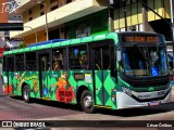 São Dimas Transportes 11308 na cidade de Belo Horizonte, Minas Gerais, Brasil, por César Ônibus. Número da foto: #:id.