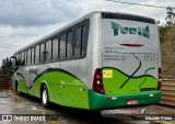 Turin Transportes 1330 na cidade de Conselheiro Lafaiete, Minas Gerais, Brasil, por Eduardo Vieira. Número da foto: #12218920.