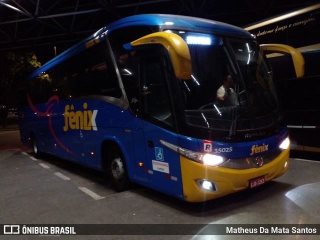 Rápido Expresso Fênix Viação 35025 na cidade de São Paulo, São Paulo, Brasil, por Matheus Da Mata Santos. Número da foto: #12289874.