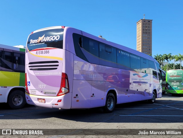 TransMargoo 1077 na cidade de Aparecida, São Paulo, Brasil, por João Marcos William. Número da foto: #12288884.