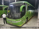 Pássaro Verde 11105 na cidade de Capelinha, Minas Gerais, Brasil, por Paulo Henrique Coelho Correa. Número da foto: #12288074.