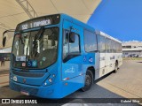 Nova Transporte 22256 na cidade de Vila Velha, Espírito Santo, Brasil, por Gabriel Silva. Número da foto: #12288314.